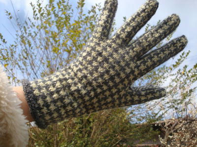 110221glove1.jpg