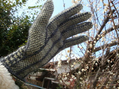 110221glove2.jpg