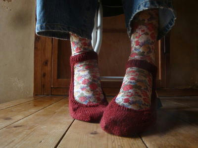 110504slipper1.jpg