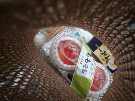 110726bag2.jpg