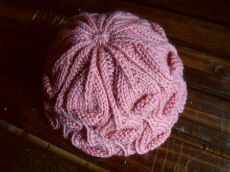 111024physalis5.jpg