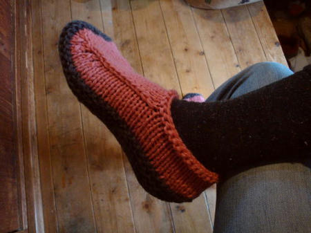 111107slipper3.jpg