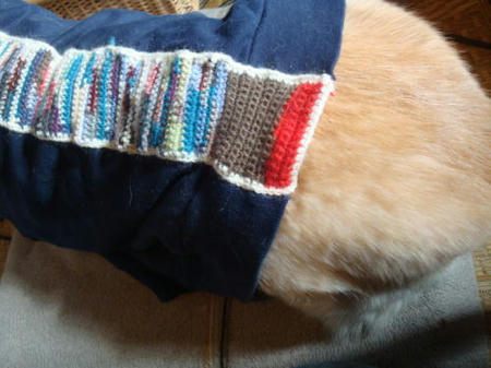 犬着画・おしり