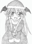 sankoa500.jpg
