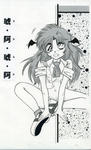 koakoa.jpeg