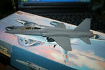 IMG_2564_s.jpg