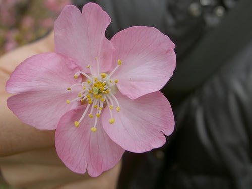 20090218