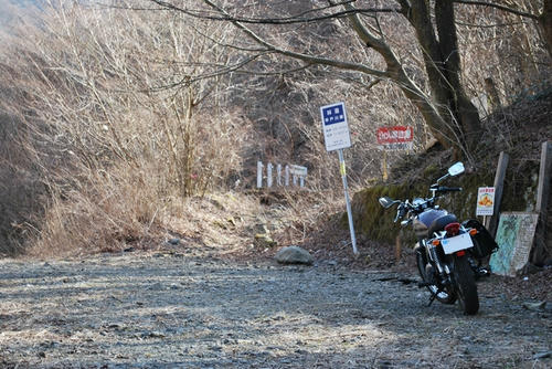 20090316