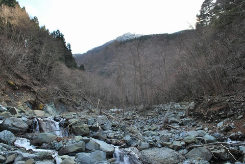 20090320