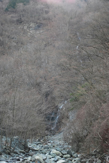 20090320
