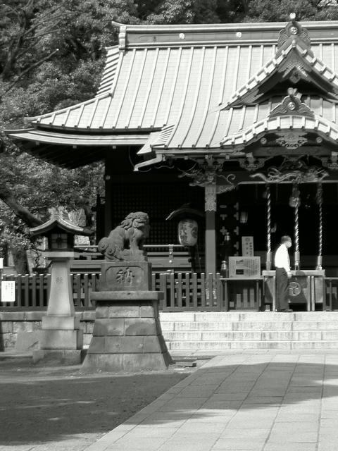 20090323
