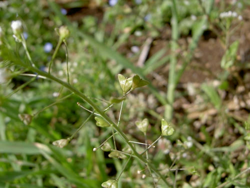 20090325