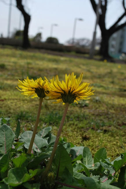 20090327