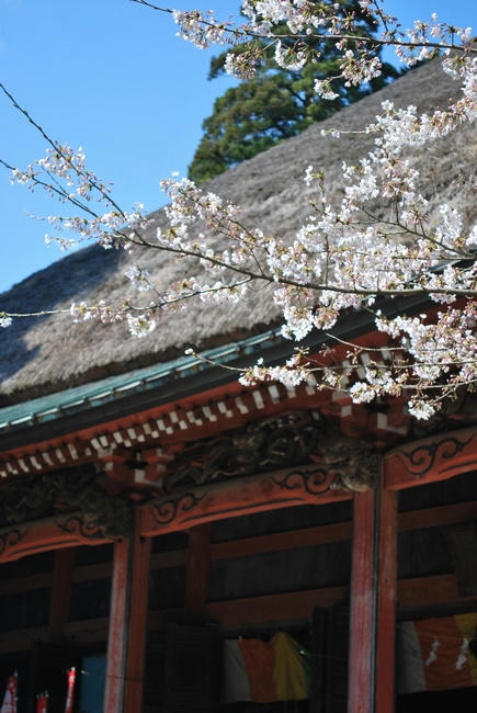 20090404