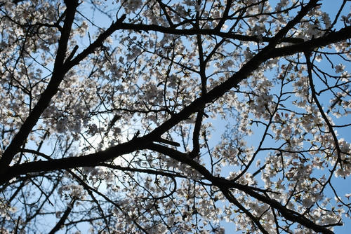 20090404