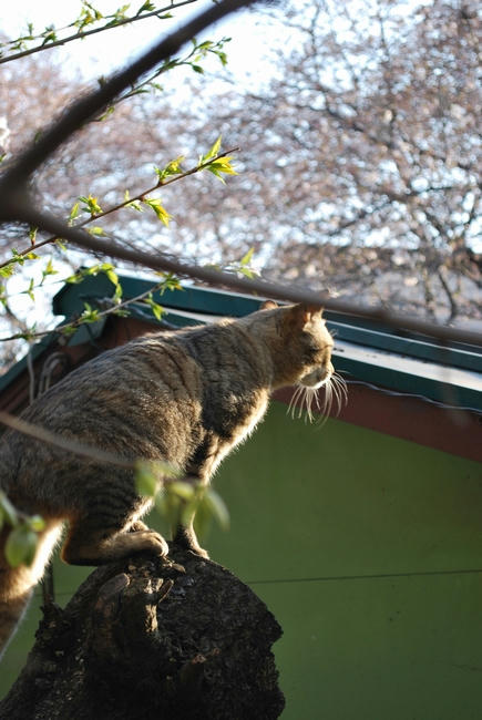 20090405