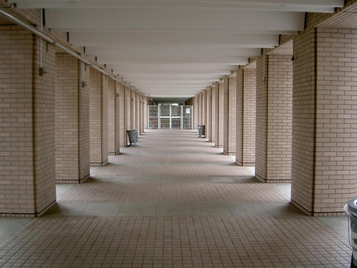 20090406