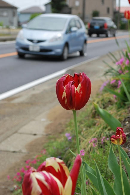 20090425