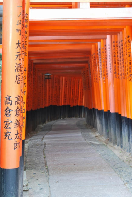 20090508