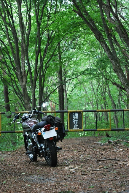 20090523