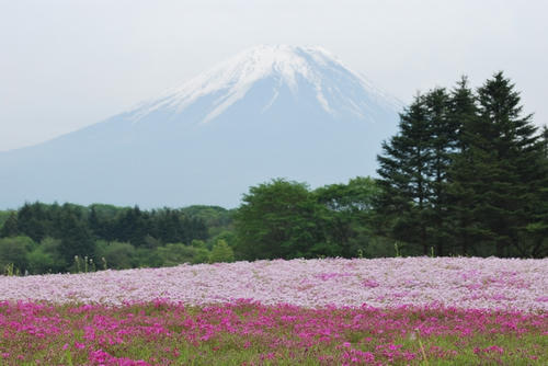 20090524
