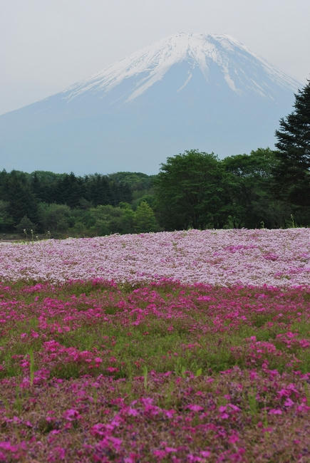 20090524