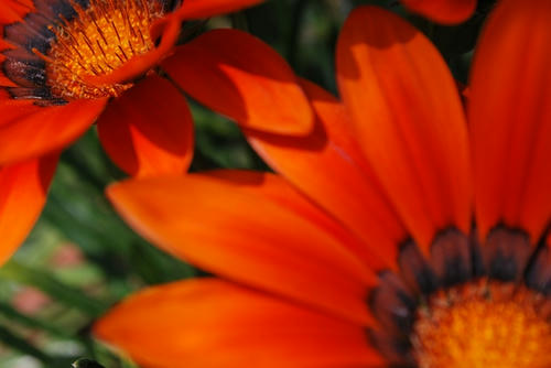 20090529