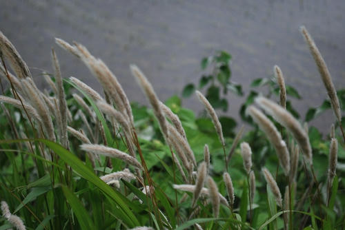 20090530