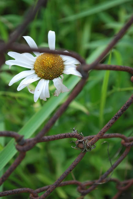 20090605