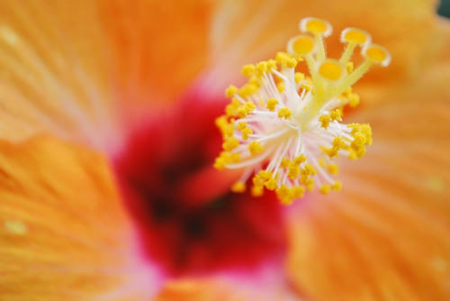 20090617