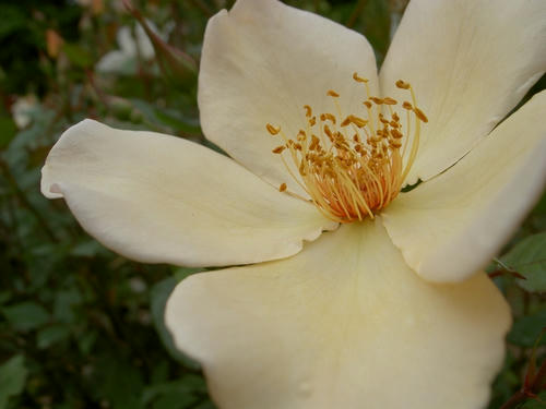 20090620