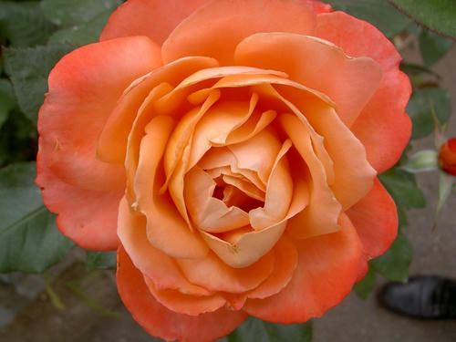 20090620