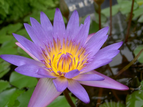 20090620