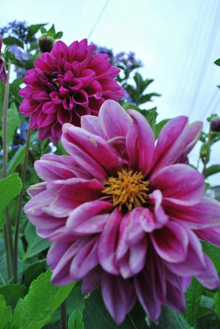 20090622