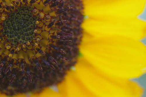 20090713