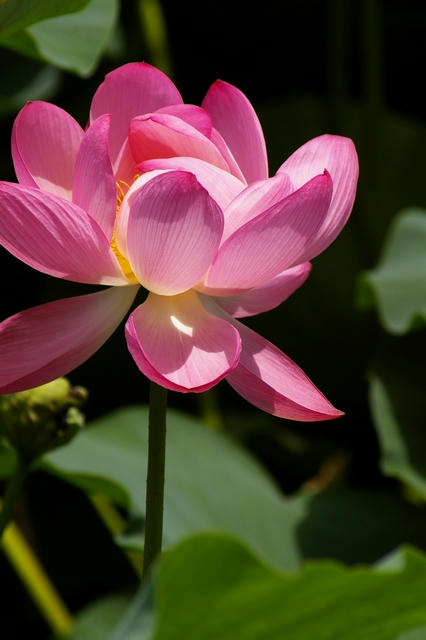 20090715