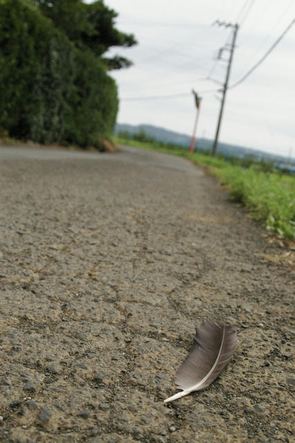 20090722