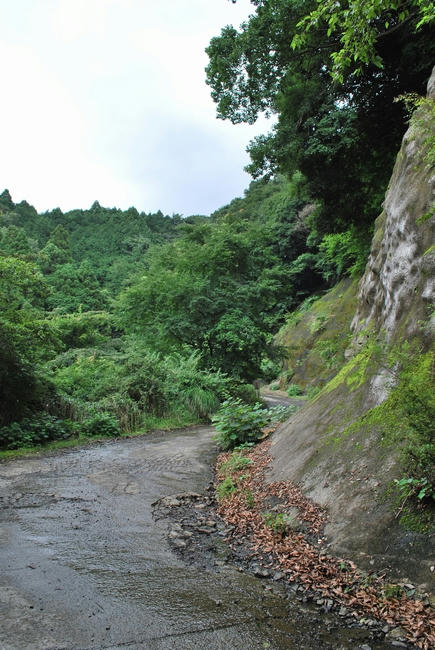 20090807