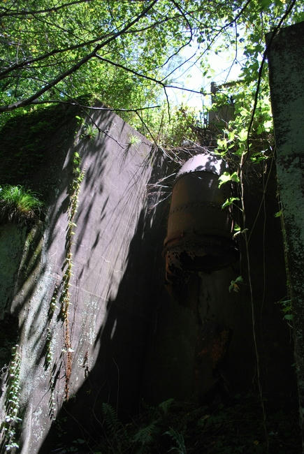 20090810