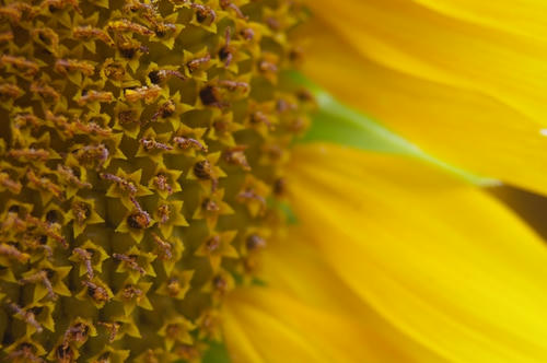 20090815