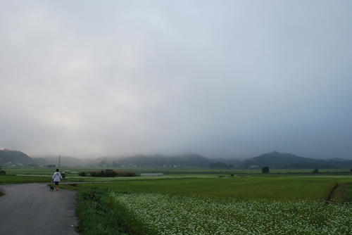20090909