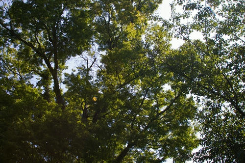 20090918