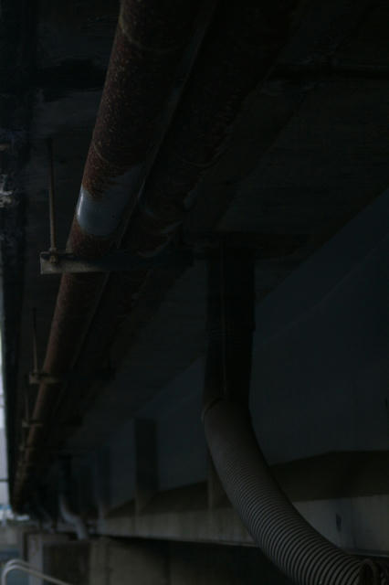 20090919