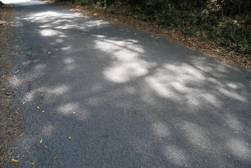 20090925