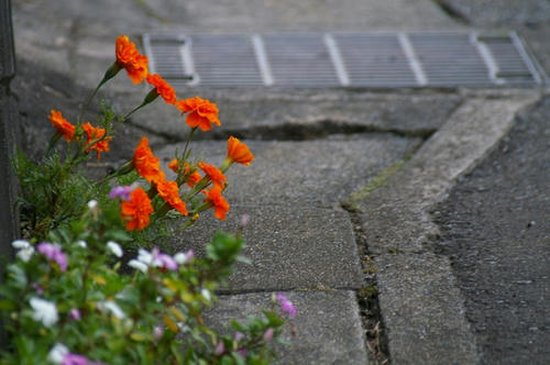 20091003