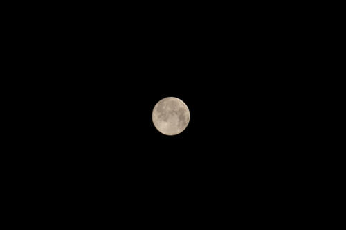 20091004