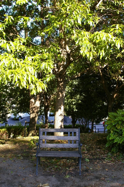20091011