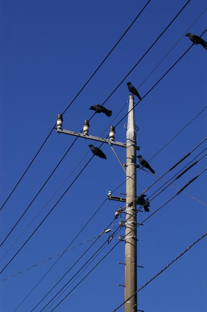 20091012