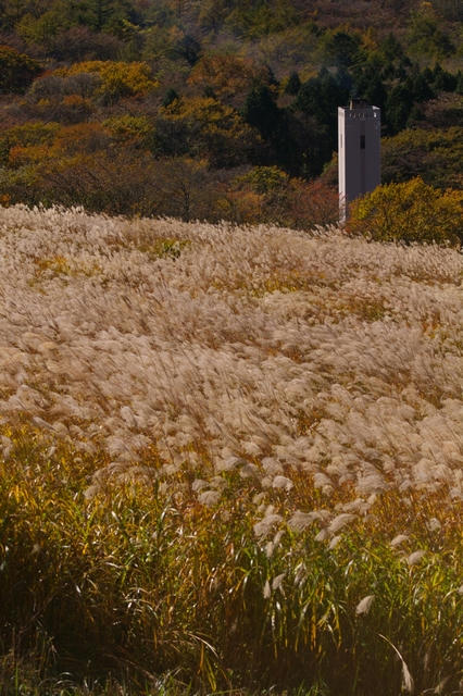20091030