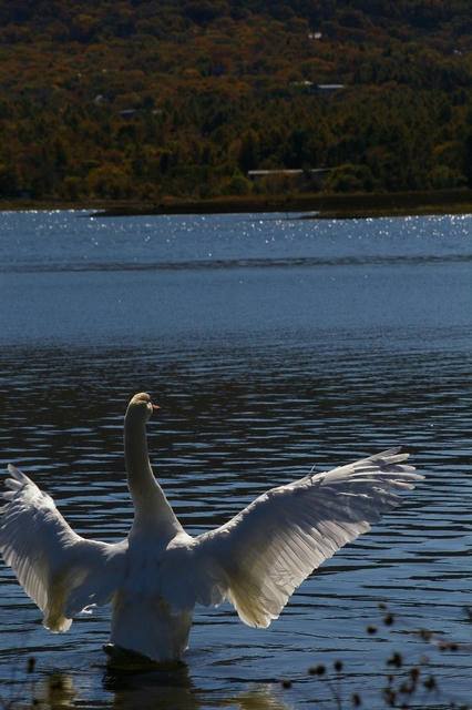 20091031